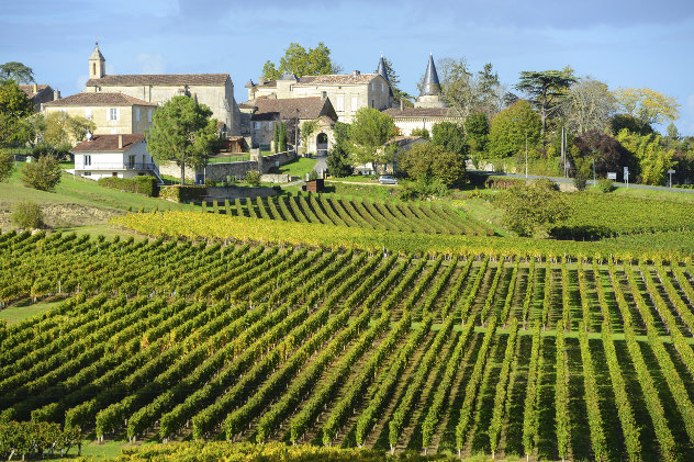Wijngaard Frankrijk