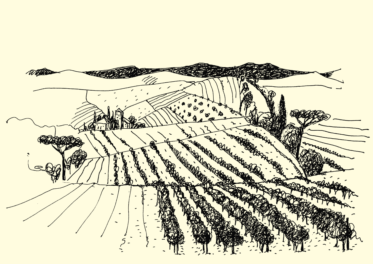 Landschap met wijngaard