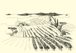 Landschap met wijngaard