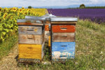 Bijenkorven in de Provence