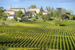 Wijngaard Saint-Emilion Bordeaux