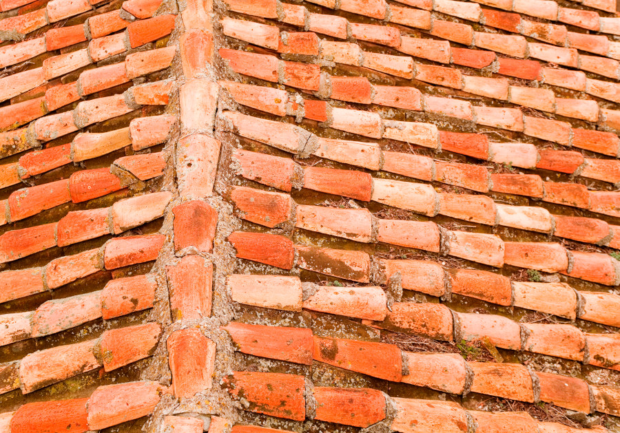 Roof with orange tiles in France