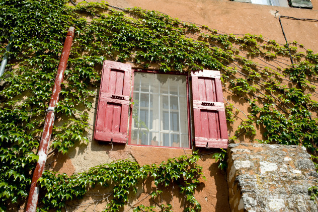 Oud huis met raam en rode 
klimop