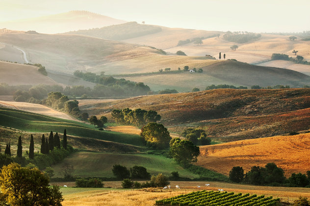 Sfeerfoto platteland Toscane